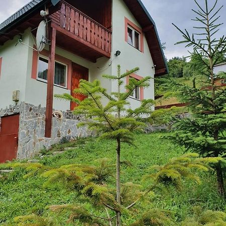 Vila Casa Dor De Ea Dîmbovicioara Exteriér fotografie