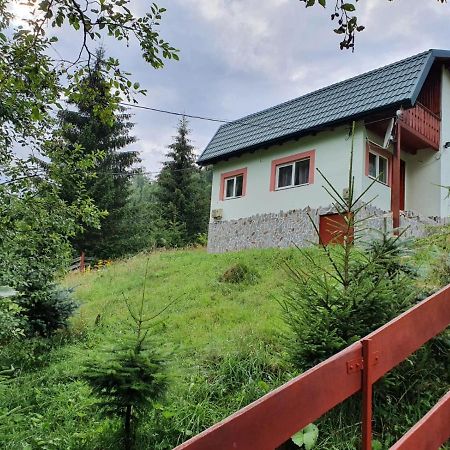 Vila Casa Dor De Ea Dîmbovicioara Exteriér fotografie