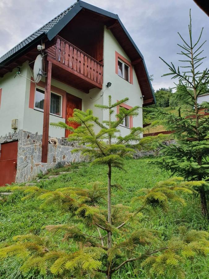Vila Casa Dor De Ea Dîmbovicioara Exteriér fotografie