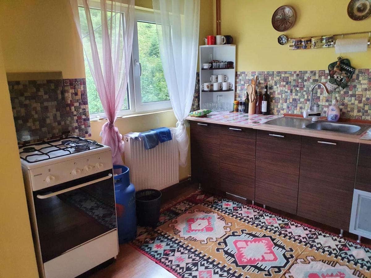 Vila Casa Dor De Ea Dîmbovicioara Exteriér fotografie