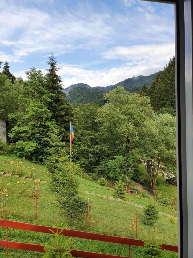 Vila Casa Dor De Ea Dîmbovicioara Exteriér fotografie