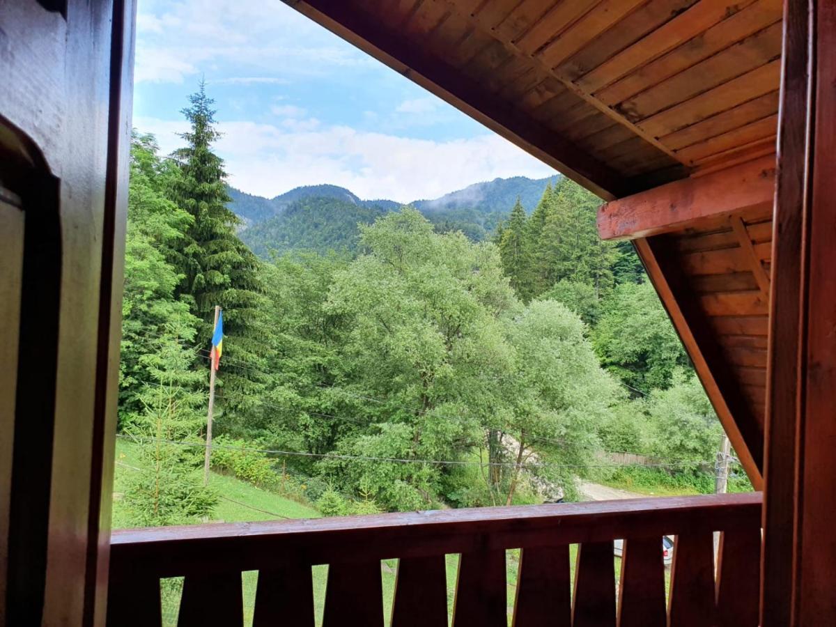 Vila Casa Dor De Ea Dîmbovicioara Exteriér fotografie