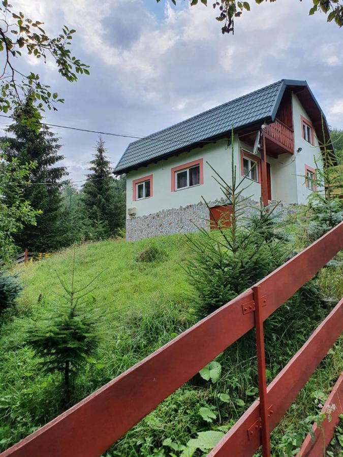 Vila Casa Dor De Ea Dîmbovicioara Exteriér fotografie